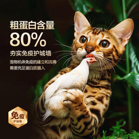 京东京造冻干鸡胸肉粒500g猫零食纯鸡肉冻干猫咪宠物零食猫咪狗通用