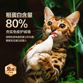 京东京造冻干鸡胸肉粒500g猫零食纯鸡肉冻干猫咪宠物零食猫咪狗通用 商品图0