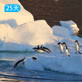 【摩森号】深入南极圈：罗斯海极地探险 25日
