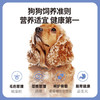 伯纳天纯狗粮经典 泰迪贵宾成犬幼犬通用犬粮1.5kg/3斤 商品缩略图4