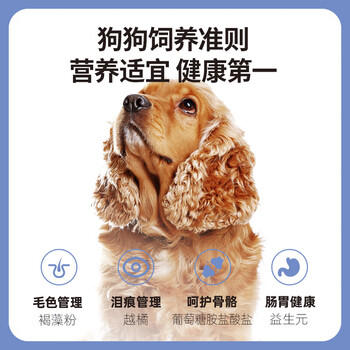 伯纳天纯狗粮经典 泰迪贵宾成犬幼犬通用犬粮1.5kg/3斤 商品图4