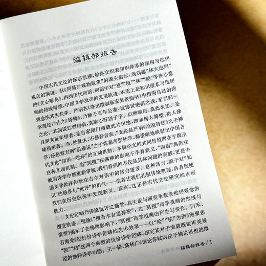 知识体系与批评观念 古代文学理论研究第六十辑 胡晓明 商品图7