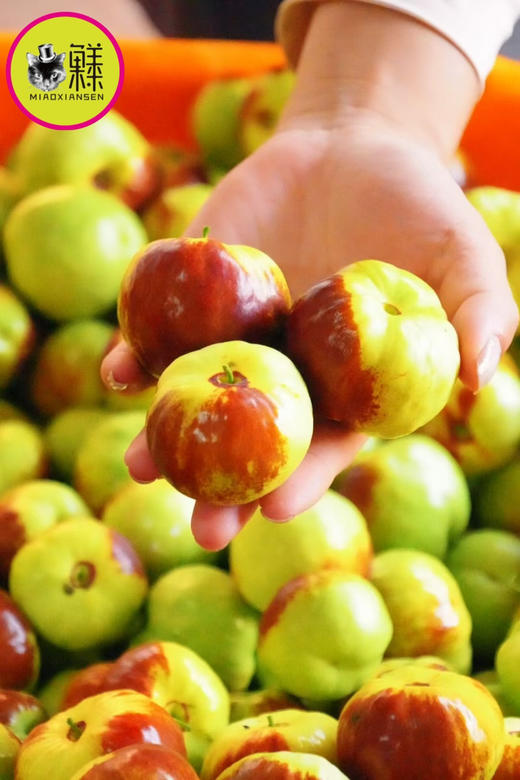 Mg基地～云南蜜罐蟠枣礼盒2斤装（包邮） 商品图3