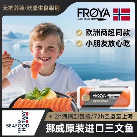 FROYA弗罗亚挪威原装进口空运三文鱼礼盒 商品图1