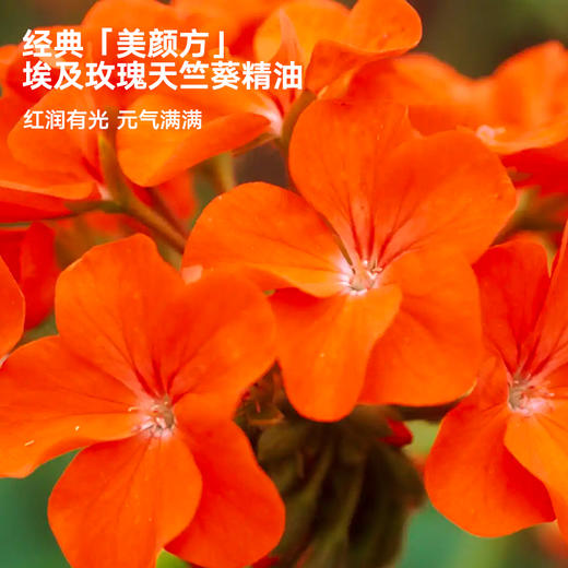 REVER乐若 桃颜三花泡脚包 泡脚球足浴包泡脚养足滑肤 商品图2