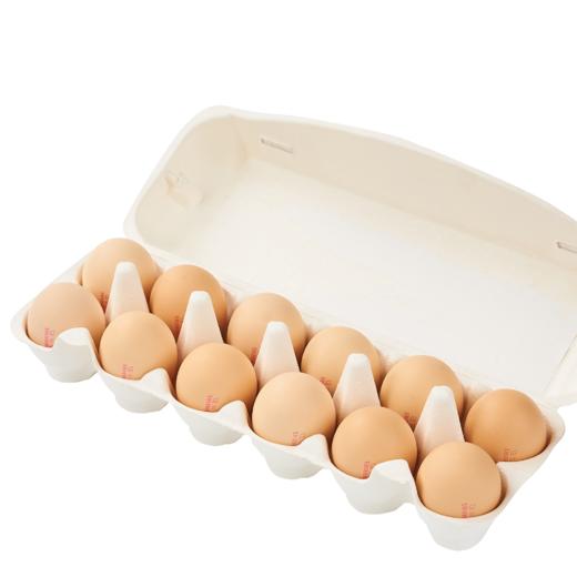 天晟牧园可生食鸡蛋600g 12枚/盒 商品图3