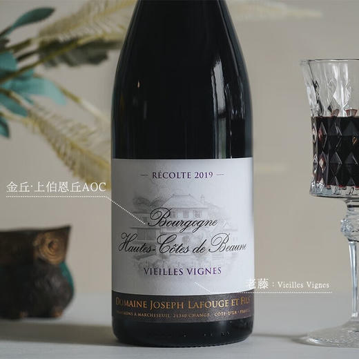 【金丘·上伯恩丘AOC】法国约瑟夫庄园上伯恩丘老藤干红葡萄酒 13%vol 商品图3