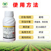 冠龙福万佳 肟菌•戊唑醇  防治炭疽、白腐、白粉早疫病等 商品缩略图2