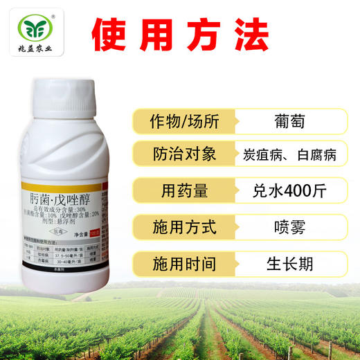 冠龙福万佳 肟菌•戊唑醇  防治炭疽、白腐、白粉早疫病等 商品图2