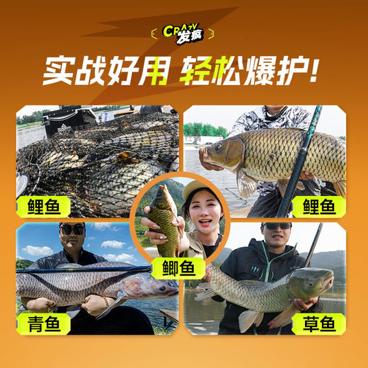 汉鼎发疯饵料添加剂诱鱼剂黑坑专用鲫鲤鱼饵料制作窝料诱食饵钓鱼 商品图1