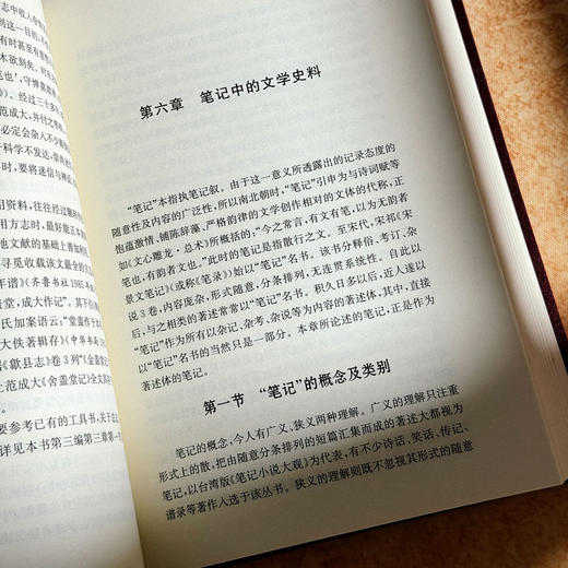 中国文学史料学 上下卷 潘树广 通论性文学史料学著作 商品图11