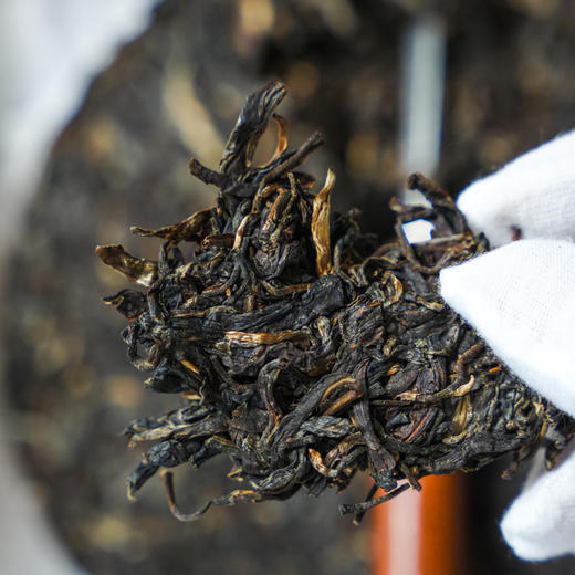 张老师勐海私仓茶；为今年春茶季再添一把火；【十一年陈薄荷塘】2015年核心古树茶地II类大古树；数量有限仅有2件，闭眼抢；只收一个仓储费；357g/饼 商品图2