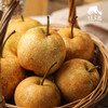 生态桂花梨 | 合作生产*Ecological osmanthus pear|  Partner Production 商品缩略图3