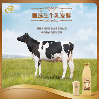 伊利帕瑞缇 褐色炭烧酸奶1050g/瓶风味发酵酸牛奶 焦香浓郁 商品图2