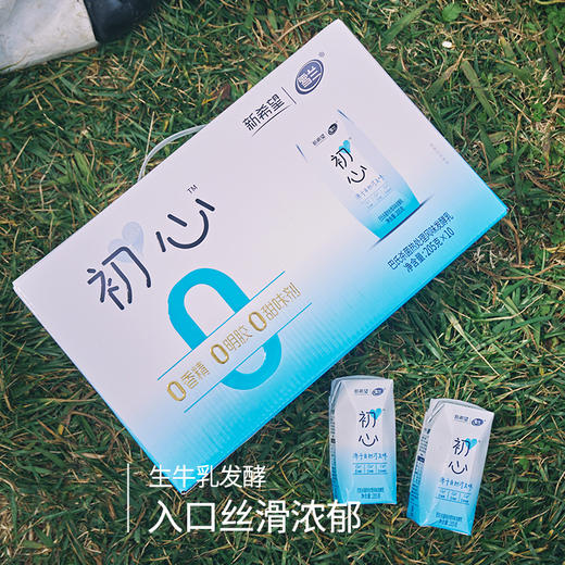 【初心酸奶】原味205g*10盒 生牛乳发酵 入口丝滑浓郁 配料简单安全放心 离心除菌 预巴杀AA 商品图1