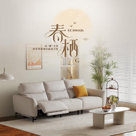 顾家家居整装 现代舒适 皮/布功能沙发 KZ.9060(B)春栖