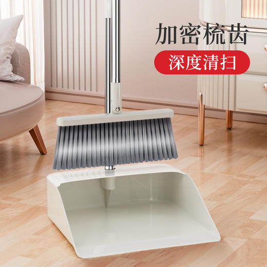 好媳妇扫把簸箕新款家用扫地组合扫帚垃圾铲 商品图6