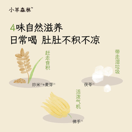 「炒米茶」谷香炒米水  脾w爱喝 每天1袋吃饭香 商品图4