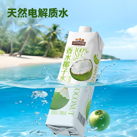 三只松鼠_100%NFC香水椰子水1L 商品图4