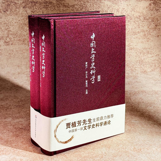 中国文学史料学 上下卷 潘树广 通论性文学史料学著作 商品图3