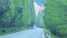 塘下公路 自驾一日游（浦东-奉贤）