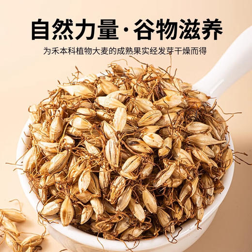 草木方 炒麦芽1000g/桶 草木之间有良方 商品图2