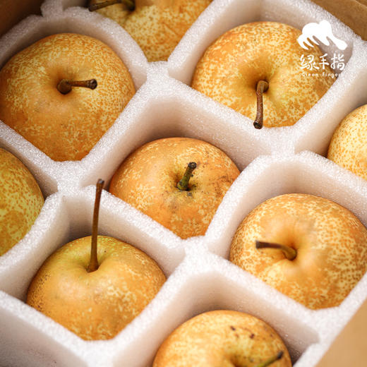 生态桂花梨 | 合作生产*Ecological osmanthus pear|  Partner Production 商品图2