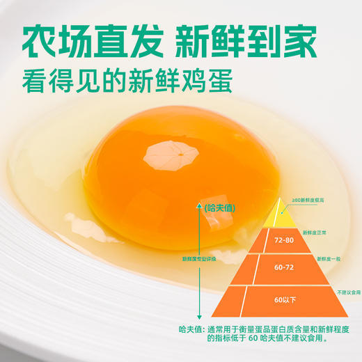 可生食鸡蛋 商品图2