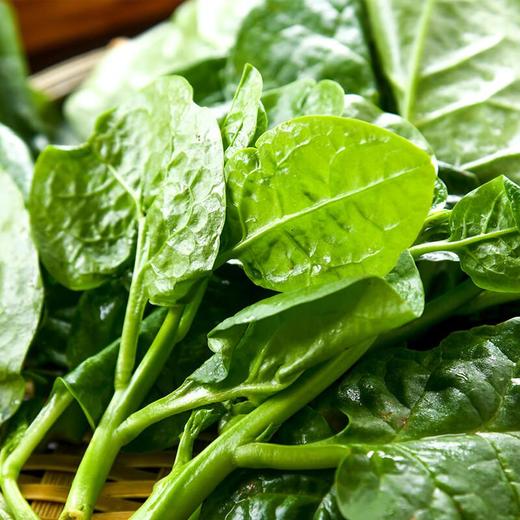 本地软江叶 200g/份 商品图1