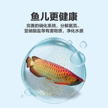 疯狂石头鱼缸活性硝化细菌 鱼池净化水质分解鱼便【硝化细菌600ML装】 商品图2