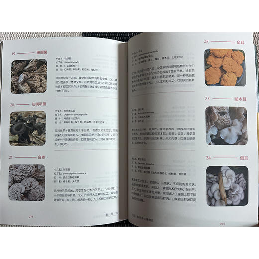 在集市：昆明篆新农贸市场的博物日常  半夏 著（自然感悟）商务印书馆 商品图5