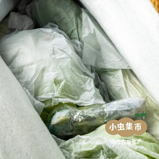 野菜夫人蔬菜套餐（圆白菜（包菜）/娃娃菜/土豆/洋葱/胡萝卜/花菜/紫甘蓝）5斤 | 合作农友生产，来自河北张家口，生产者：李鹏飞 *【公平贸易农人定价】 商品图5