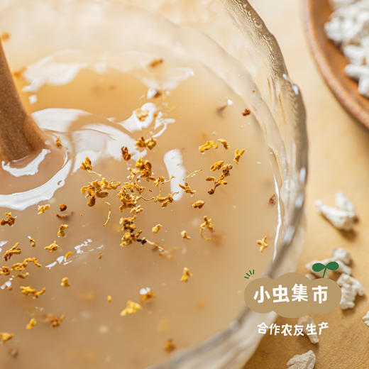 山野采集葛根粉 500g/罐 | 合作农友生产，产自湖北荆门，生产者：阳春府 ＆【公平贸易农人定价】 商品图2