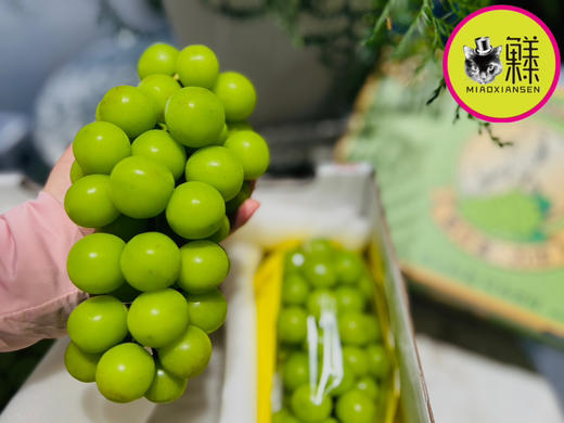 【一级家庭装】云南阳光玫瑰香印青提（2-3串装）2kg 商品图3