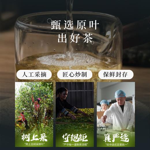 洪海古树·茶山缘2015年易武白茶龙珠 易武山紧压老白茶 茶香飘溢茶味柔滑 20颗/桶 商品图3