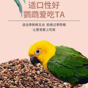 茨格曼鹦鹉饲料1200ml混合鸟粮 五色黍子牡丹虎皮玄凤八哥画芦丁鸡饲料 商品图2