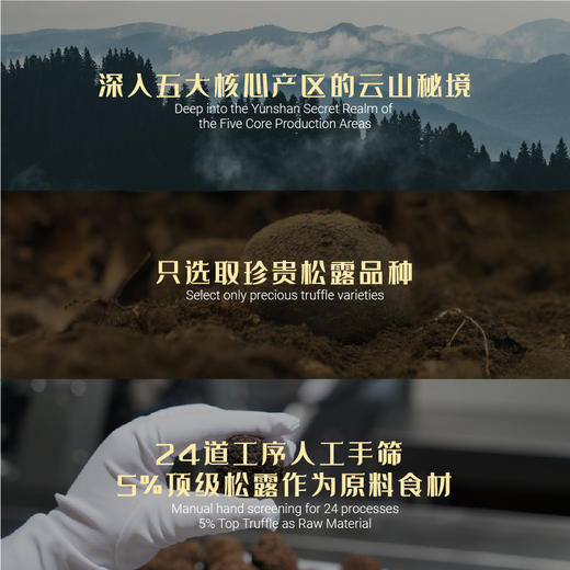 曾味黑松露调味粉松露味（中西餐适用）50g/瓶 商品图2