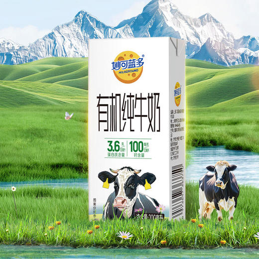 妙可蓝多有机纯牛奶200ml*10/提 商品图0