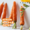 有机胡萝卜（基地直发-顺丰包邮） | 3斤，5斤，来自云南昆明，生产者：王建钧【合作生产，公平贸易 商品缩略图2