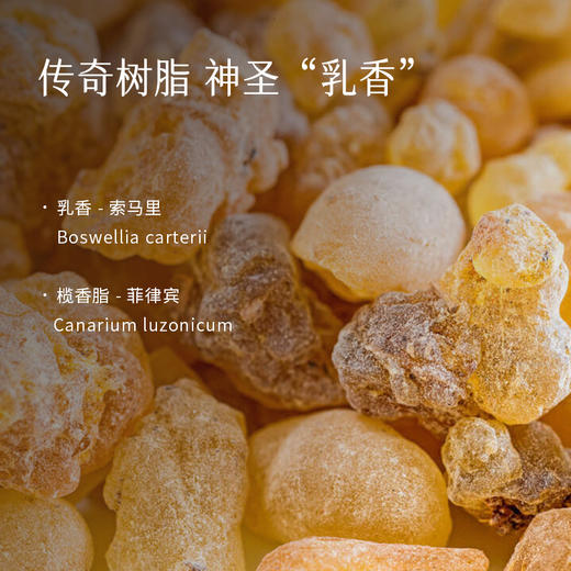 枕草子【悉知】精油 | 阳光与森林交织出的木质调， 水能体质推荐 商品图3