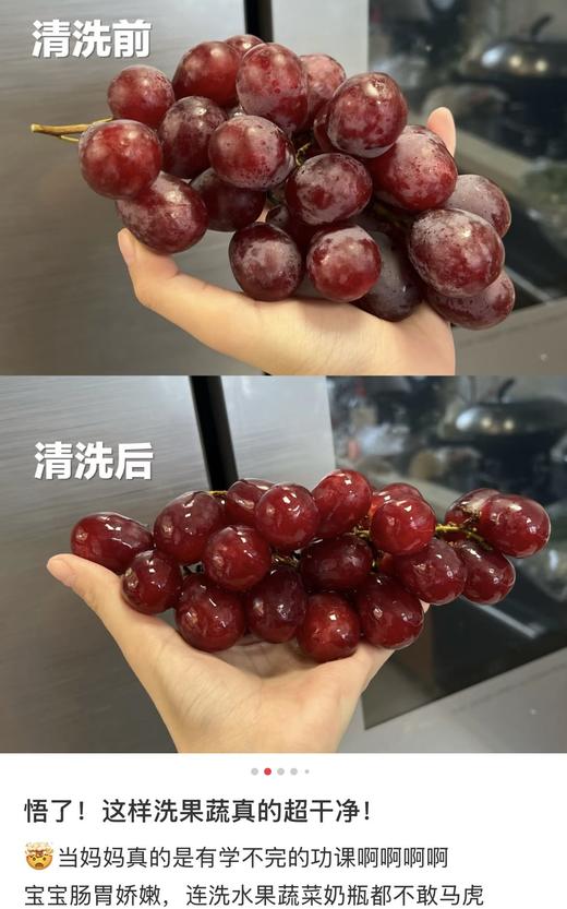 VML·果蔬餐具净 净含量：500ml 商品图10