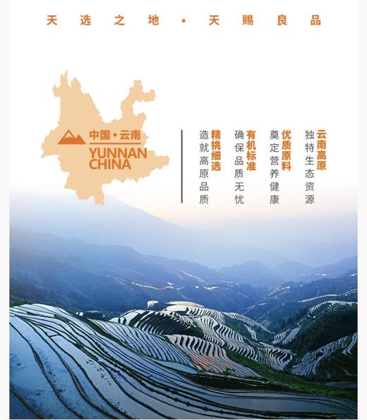 云南石林高原云耳|云耳是木耳当中的一种，主要生长在高原地区的菌类，平时生活当中多食用云耳是能够有助于肠胃清除难消化异物，而且当中含有丰富的铁元素，能够起到补血的效果，对预防血栓等也很有效果。 商品图1