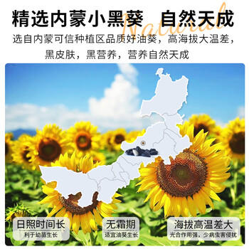 开元小油葵瓜子鹦鹉零食磨牙粮食金丝熊饲料鸟食黑珍珠瓜籽虎皮玄凤 商品图4