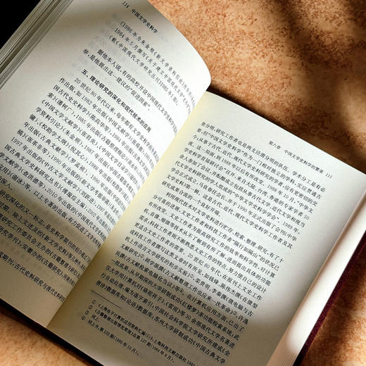 中国文学史料学 上下卷 潘树广 通论性文学史料学著作 商品图9