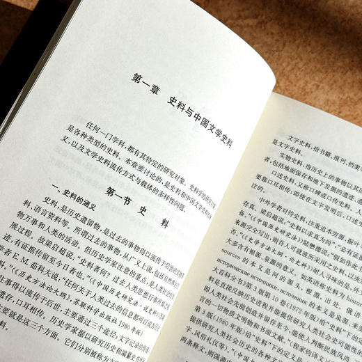 中国文学史料学 上下卷 潘树广 通论性文学史料学著作 商品图7