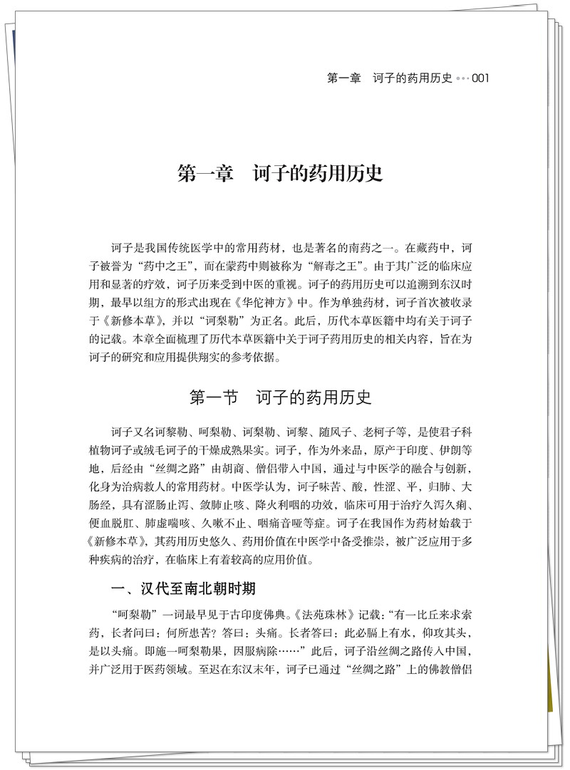 5132-9494-2诃子的研究与应用 20250626CTP_21_副本.jpg