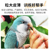 开元小油葵瓜子鹦鹉零食磨牙粮食金丝熊饲料鸟食黑珍珠瓜籽虎皮玄凤 商品缩略图5
