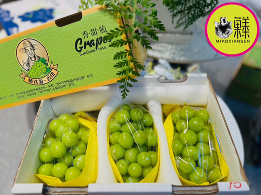 【一级家庭装】云南阳光玫瑰香印青提（2-3串装）2kg 商品图0