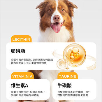 台派狗粮牛肉味肉粒双拼金毛拉布拉多中大型成犬专用狗干粮20kg 商品图6