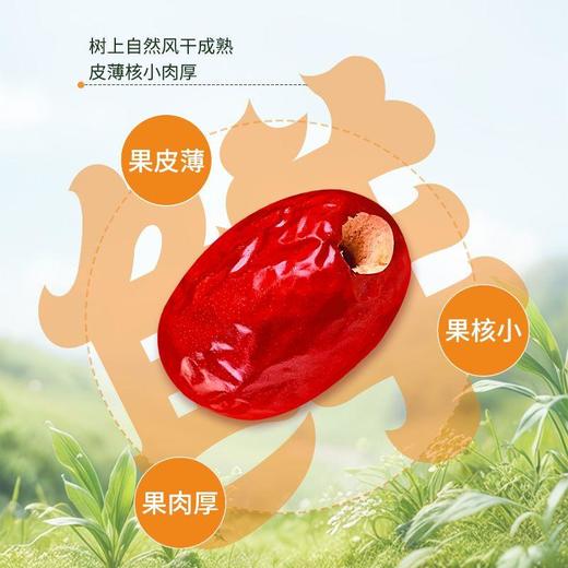 齐力有机免洗去核红枣 500g/袋 商品图1